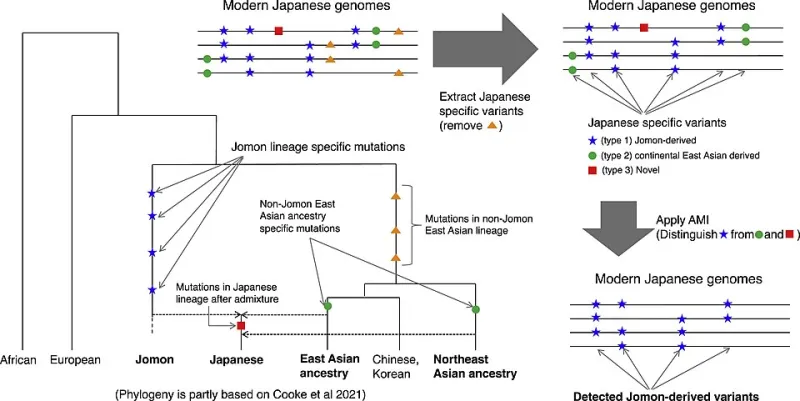 Share House Osaka : le guide francophone pour vivre à japonaise sans vider son compte en banque